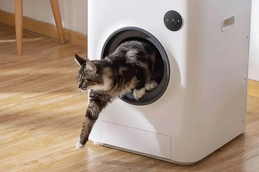 automatic self cleaning kitty litter box